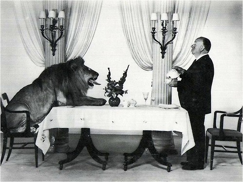 Alfred Hitchcock serving tea for Leo the Lion of MGM, 1957.